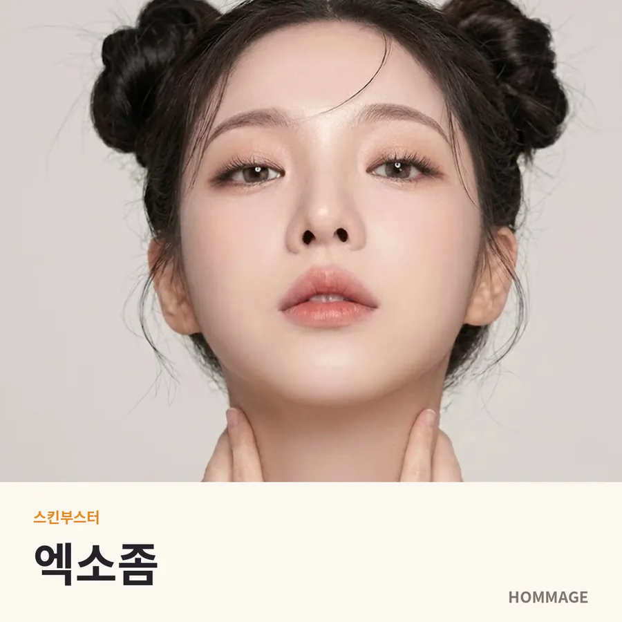 신논현 엑소좀