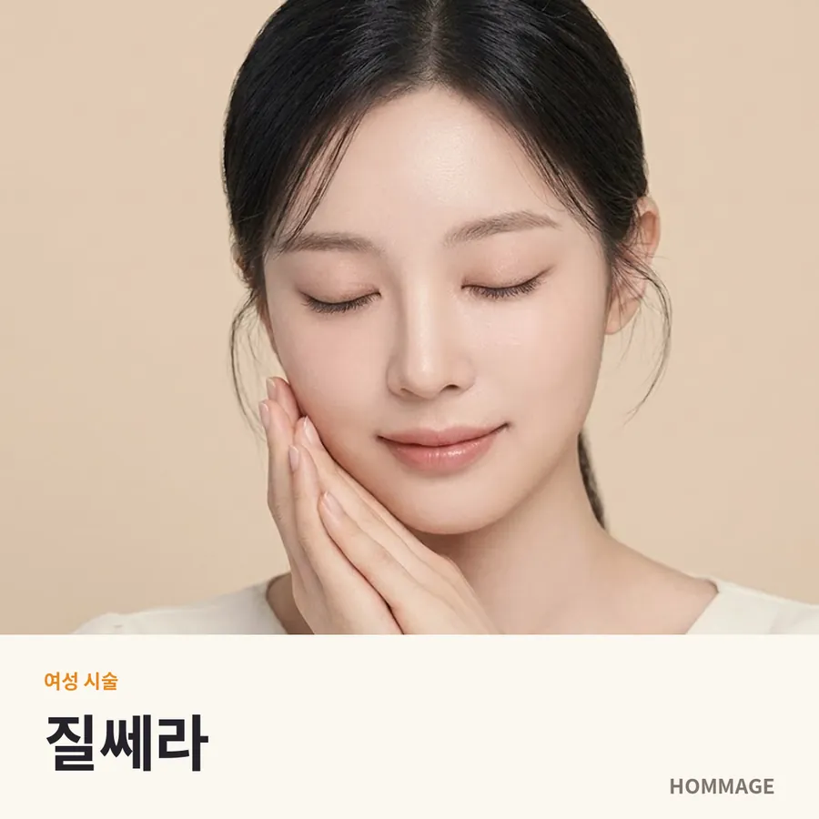 신논현 질쎄라