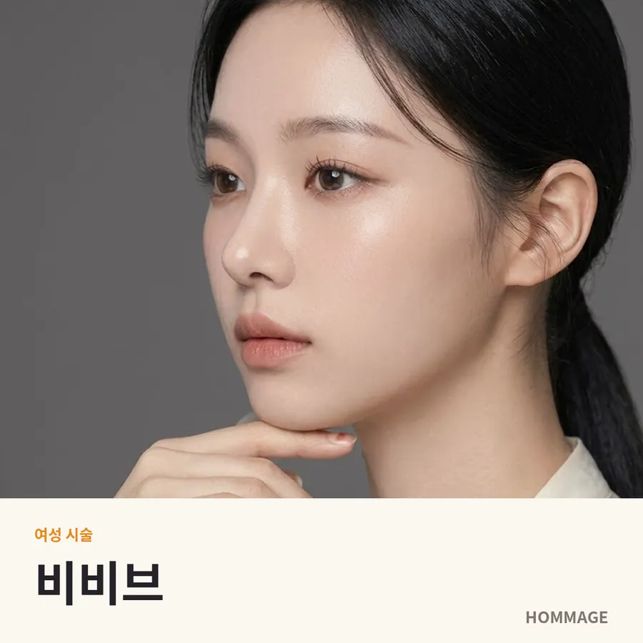 신논현 비비브